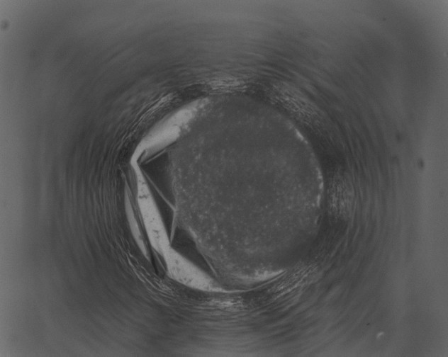 X0000062641346200601111115