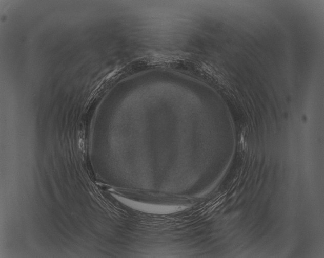 X0000062641348200601111115