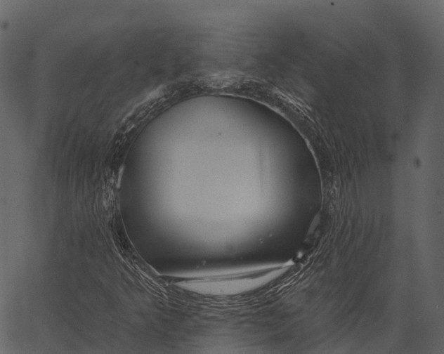 X0000062641349200601111115