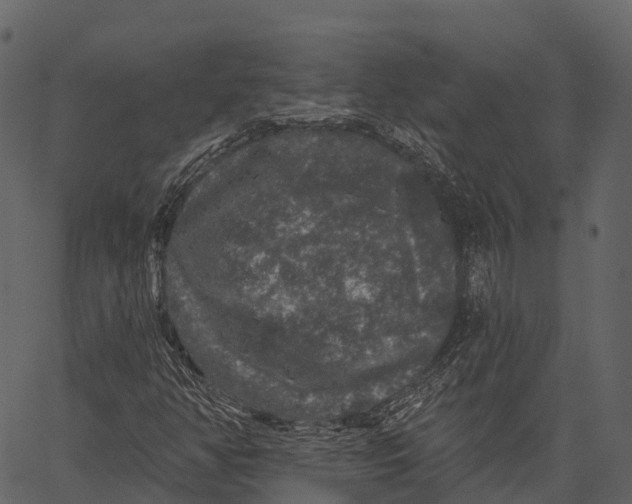 X0000062641350200601111115