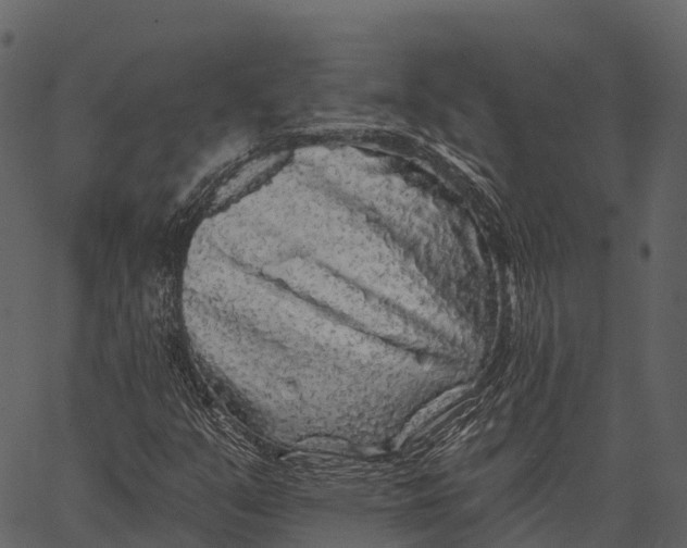 X0000062641351200601111115