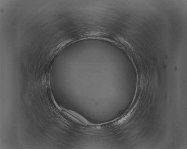 X0000062641353200601111115