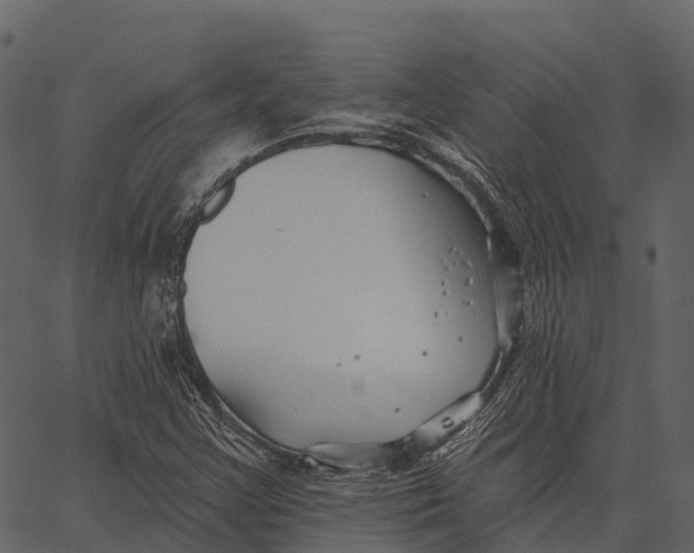 X0000062641355200601111115