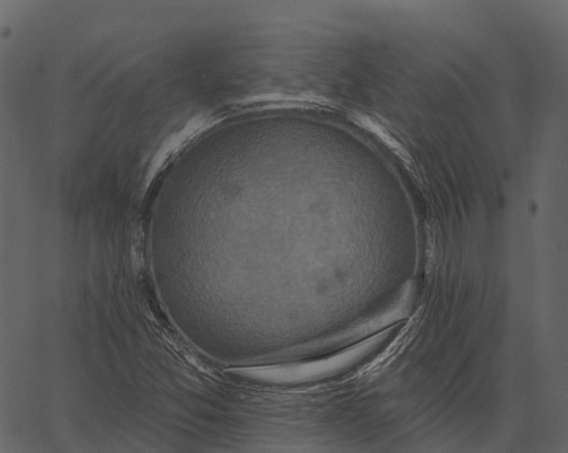 X0000062641357200601111115