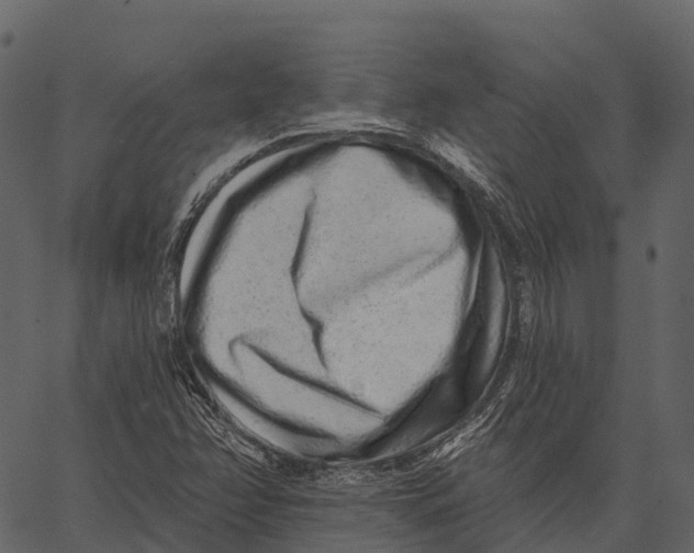 X0000062641358200601111115