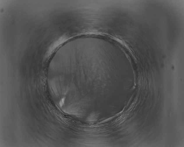 X0000062641359200601111115