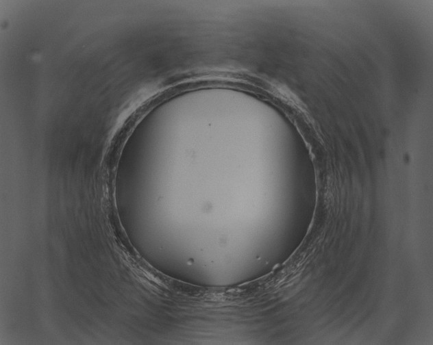 X0000062641360200601111115