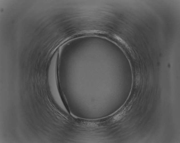 X0000062641361200601111115