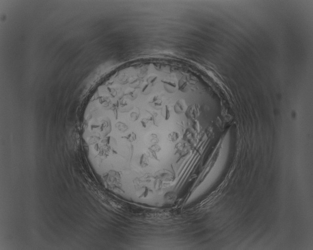 X0000062641363200601111115