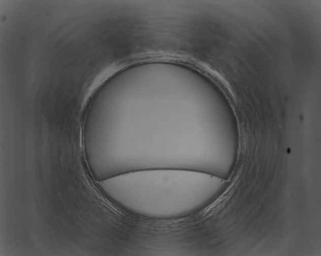 X0000062641365200601111115