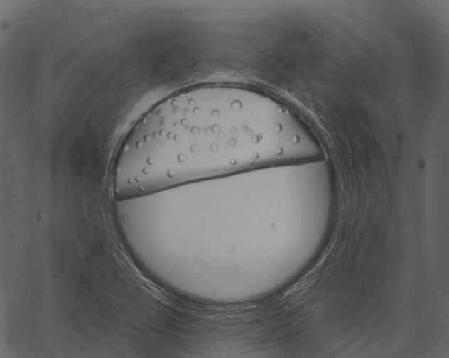 X0000062641367200601111115