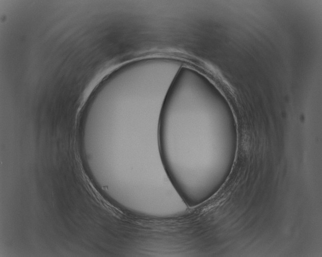 X0000062641368200601111115