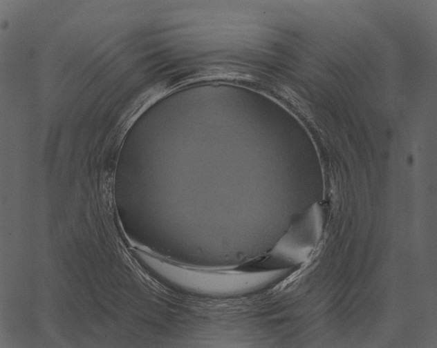 X0000062641369200601111115