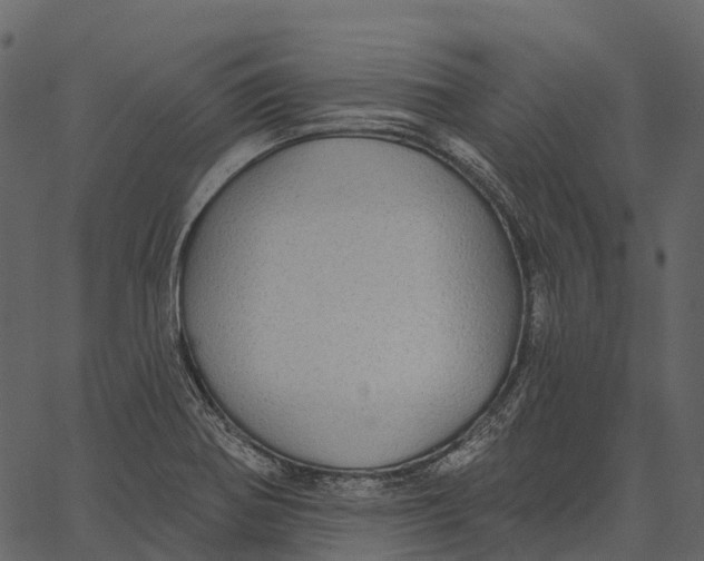 X0000062641370200601111115