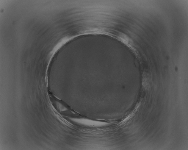 X0000062641372200601111115