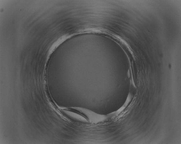 X0000062641373200601111115