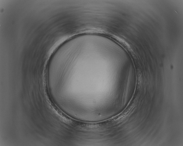 X0000062641375200601111115