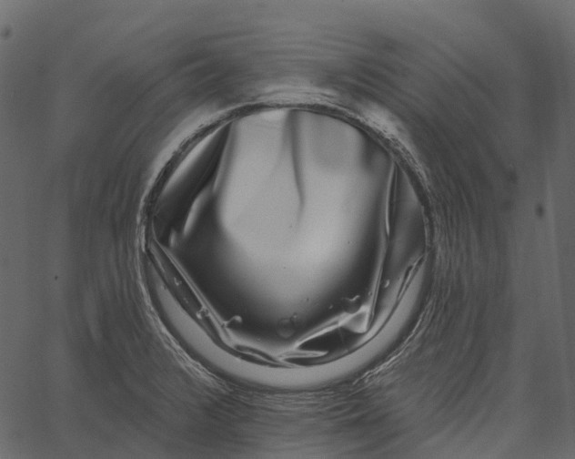 X0000062641376200601111115