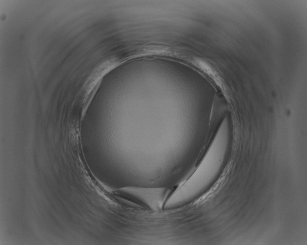 X0000062641377200601111115