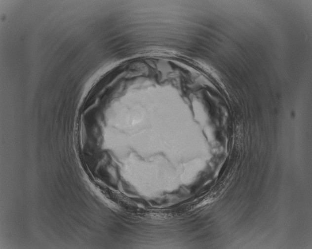 X0000062641379200601111115