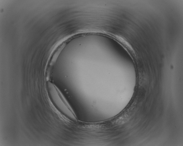 X0000062641380200601111115