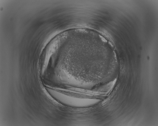 X0000062641382200601111114