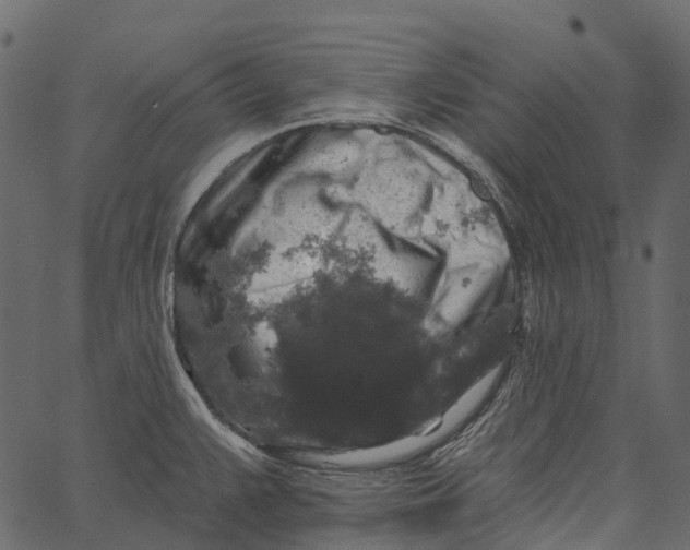 X0000062641383200601111114