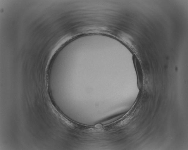 X0000062641384200601111114