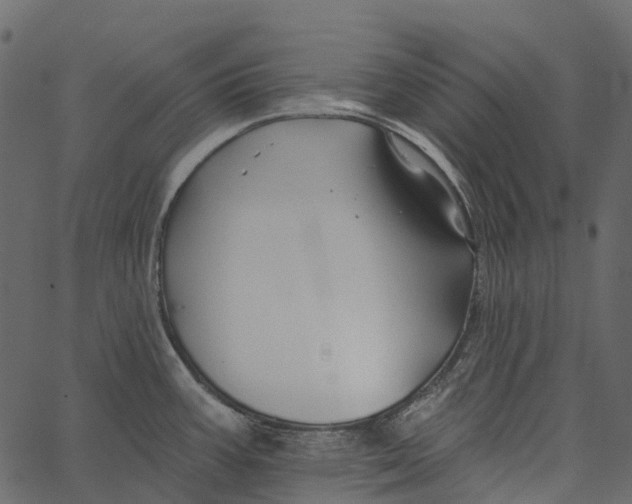 X0000062641387200601111114