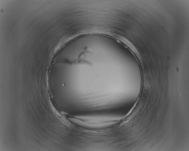 X0000062641388200601111114