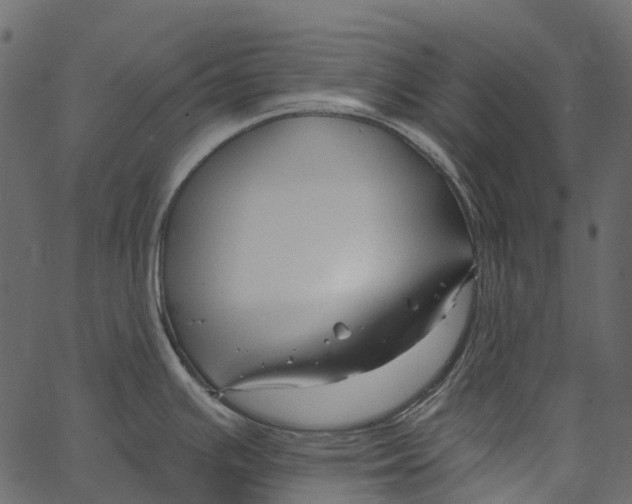 X0000062641391200601111114