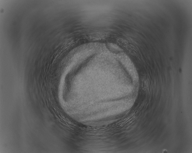 X0000062641393200601111114