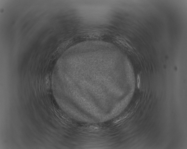 X0000062641395200601111114