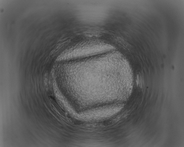 X0000062641396200601111114