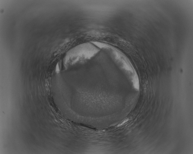 X0000062641397200601111114