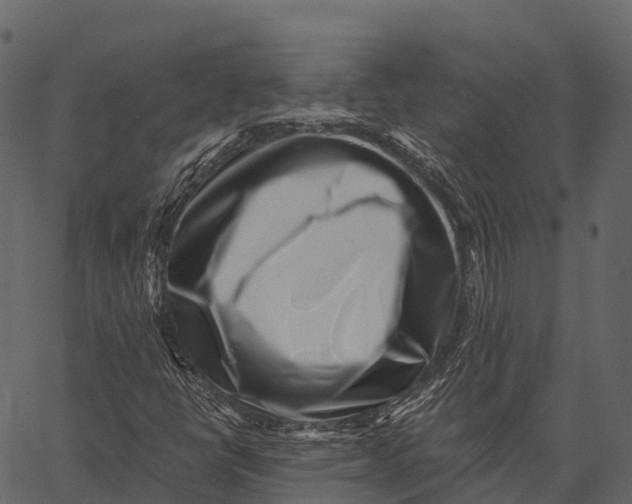 X0000062641398200601111114