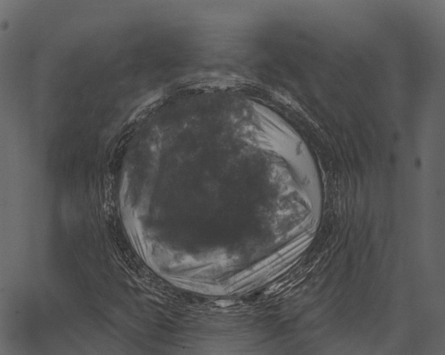 X0000062641399200601111114