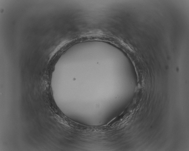 X0000062641400200601111114