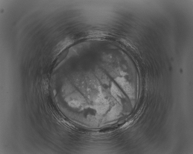 X0000062641401200601111114