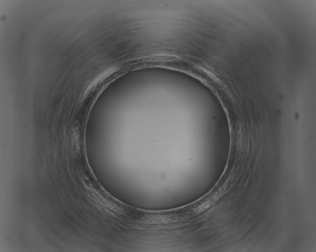 X0000062641402200601111114