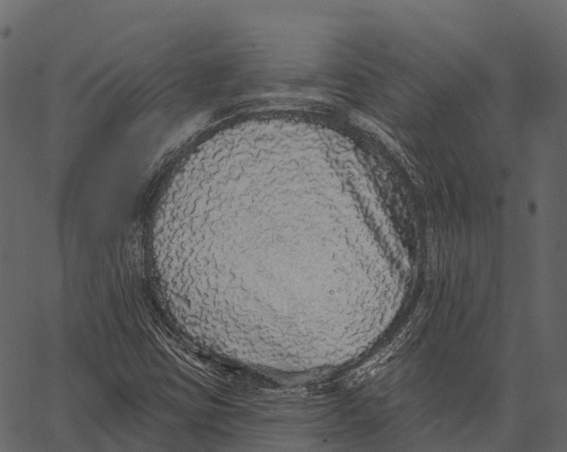 X0000062641403200601111114