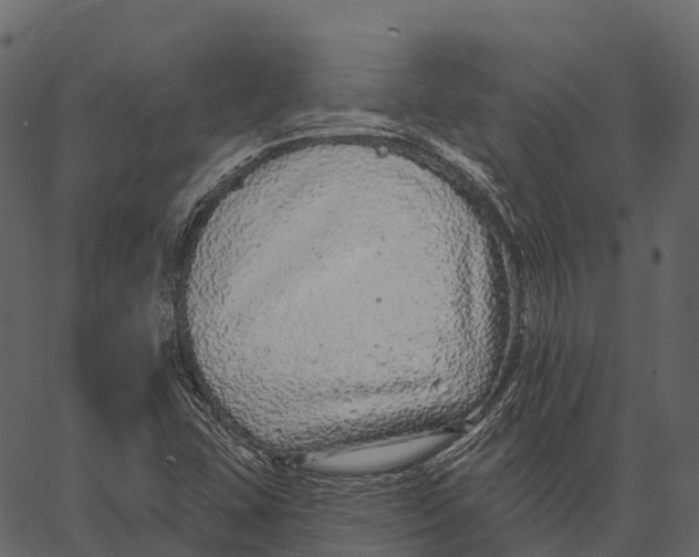 X0000062641407200601111114