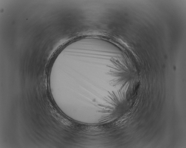 X0000062641408200601111114