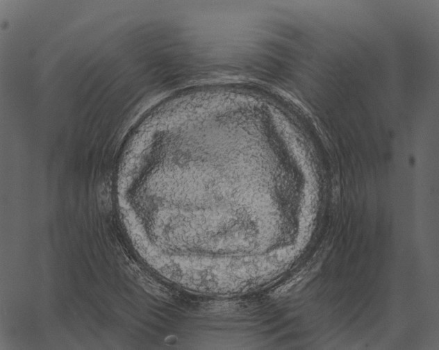 X0000062641409200601111114