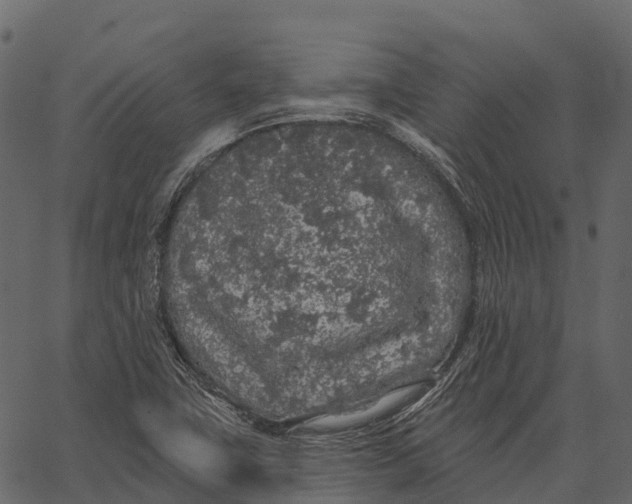 X0000062641411200601111114