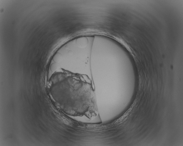 X0000062641413200601111114