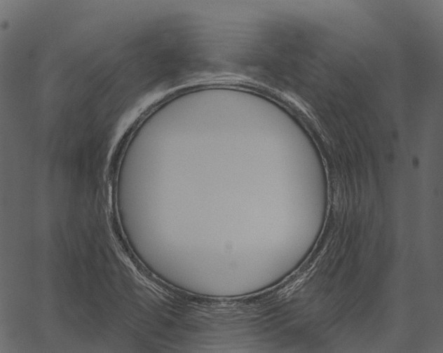 X0000062641414200601111114