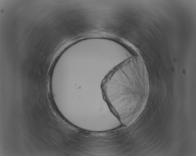 X0000062641415200601111114