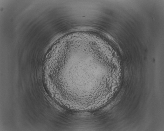 X0000062641417200601111114