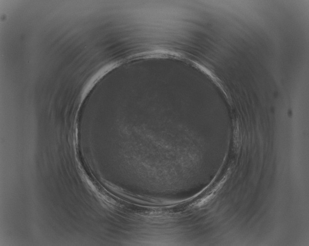 X0000062641418200601111114